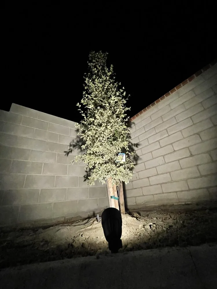 Custom garden landscaping for homes across Bakersfield, CA - R-21 Construction