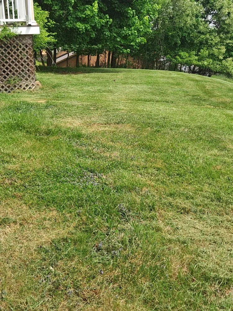 Expert yard maintenance in Front Royal, VA by R A H Mowing & Snow Removal