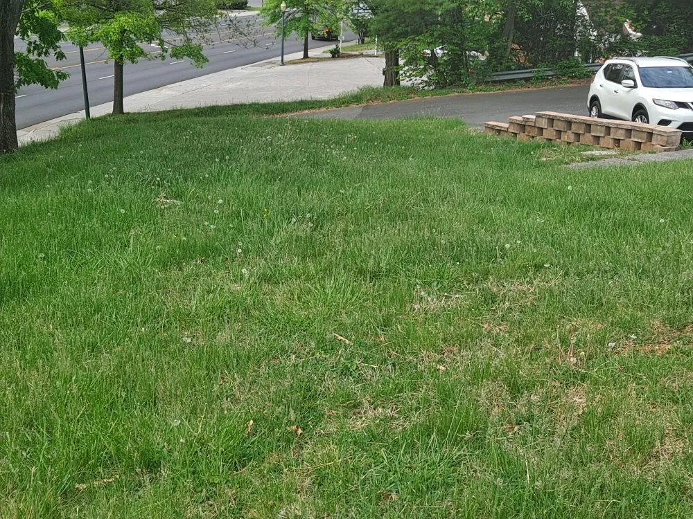 Affordable lawn mowing service in Front Royal, VA - R A H Mowing & Snow Removal