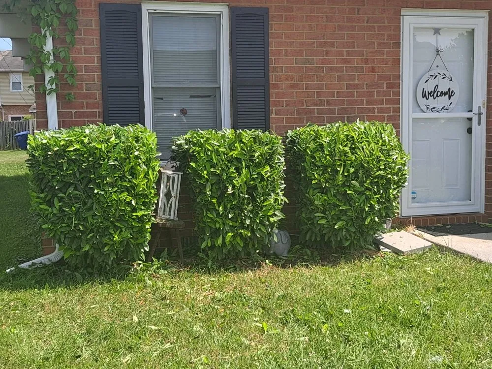 Custom outdoor landscaping in Front Royal, VA by R A H Mowing & Snow Removal