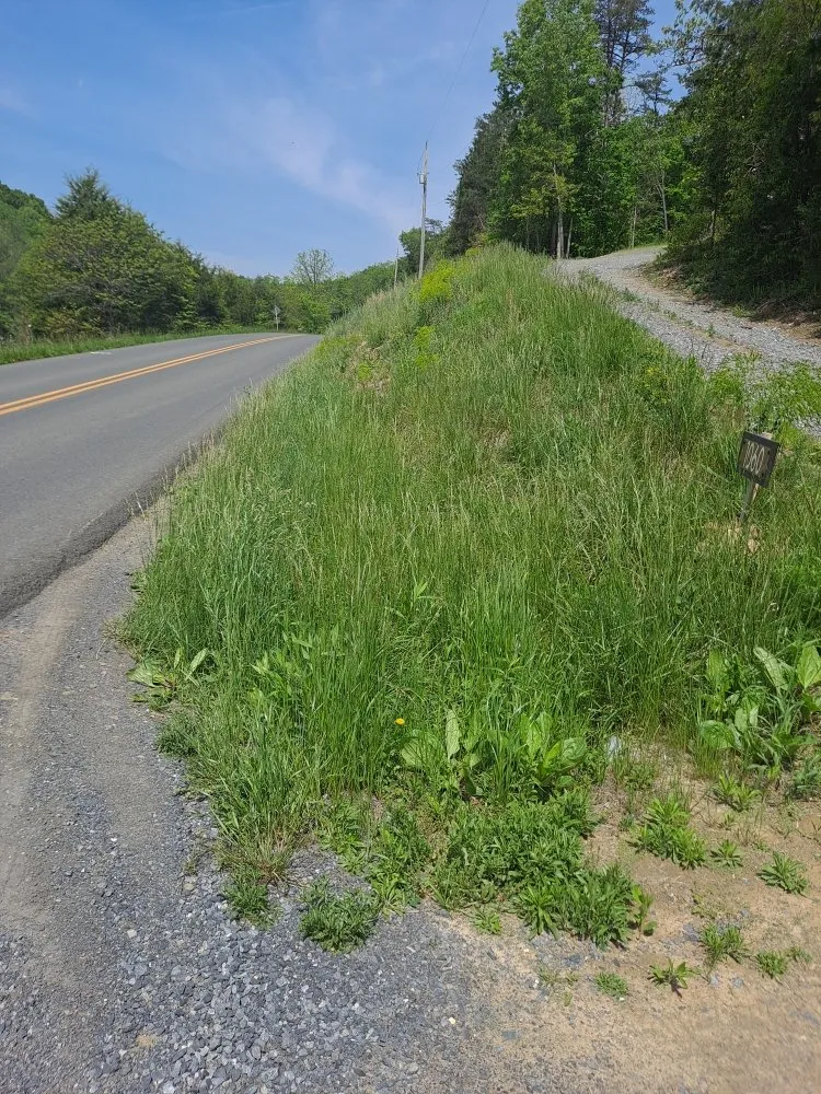 Expert residential landscaping with custom design across Front Royal, VA - R A H Mowing & Snow Removal