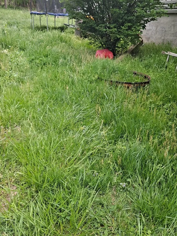 Professional lawn care service in Front Royal, VA by R A H Mowing & Snow Removal