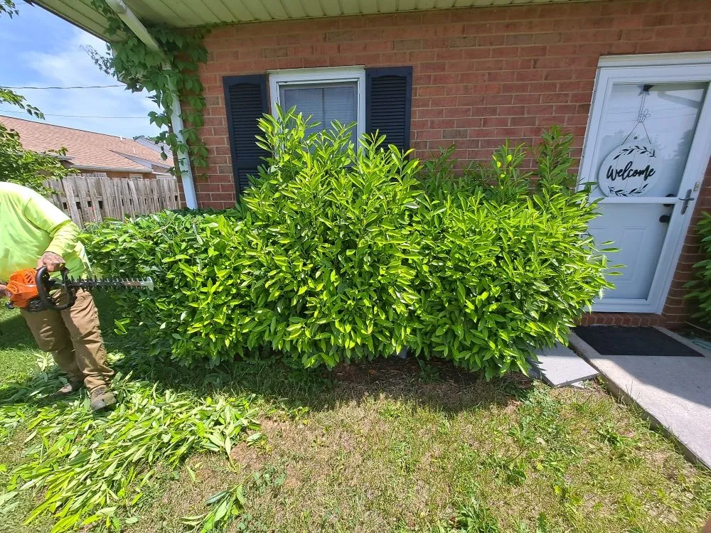 Affordable landscaping services for outdoor upgrades in Front Royal, VA by R A H Mowing & Snow Removal