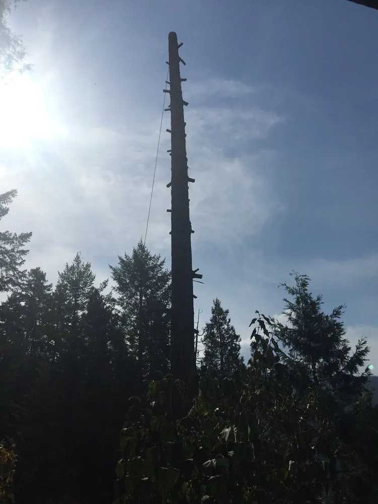 Affordable residential landscaping with custom design in Crescent City, CA by R A Kirkland's