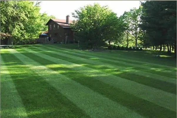 Local yard maintenance in Crescent City, CA - R A Kirkland's