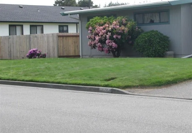 Trusted residential landscaping for residential properties across Crescent City, CA - R A Kirkland's