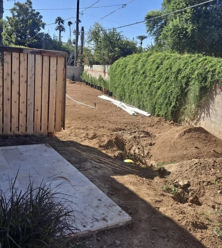 Professional yard maintenance experts serving Phoenix, AZ - R A S Landscaping
