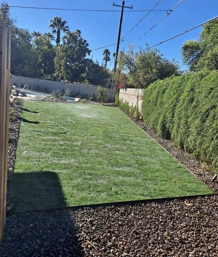 Trusted yard cleanup service experts serving Phoenix, AZ - R A S Landscaping