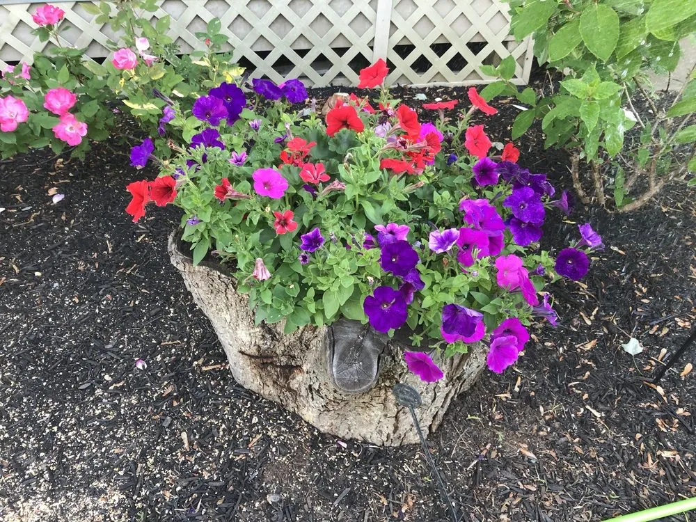 Affordable yard cleanup service experts serving Geneva, OH - R-A&J Landscaping