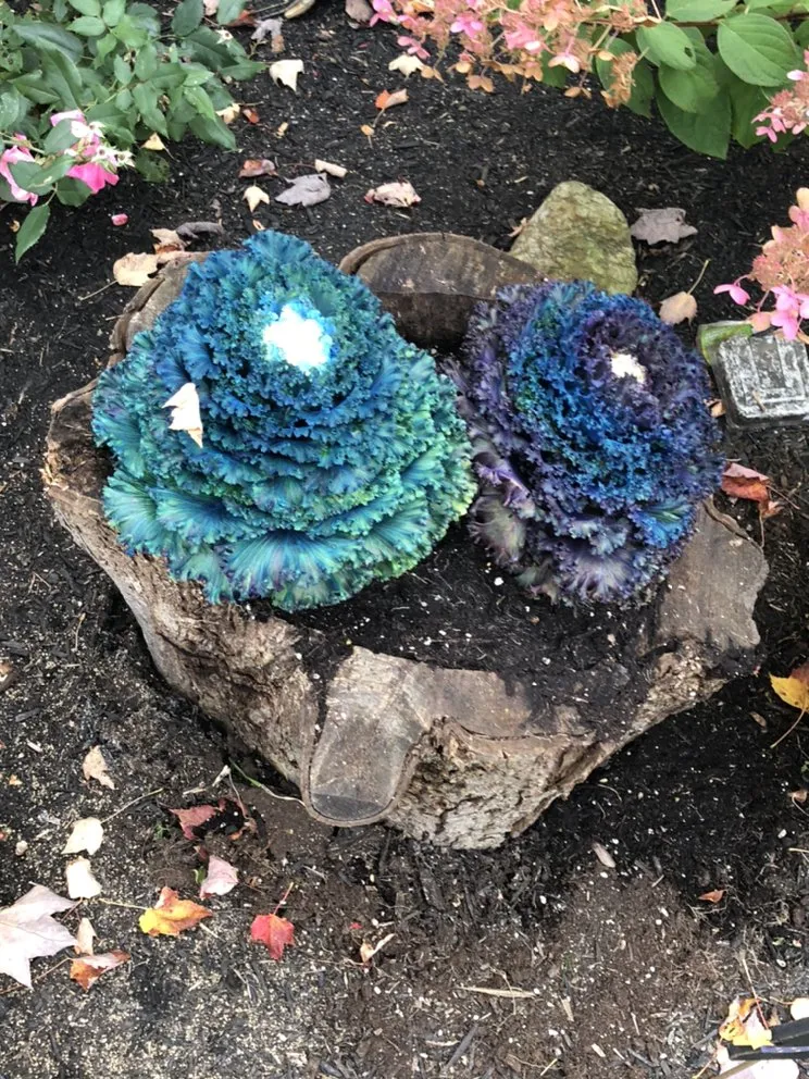 Affordable residential landscaping for year-round maintenance across Geneva, OH - R-A&J Landscaping