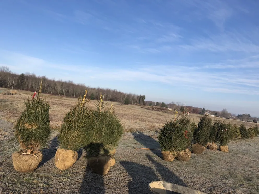 Custom landscape design near you in Geneva, OH by R-A&J Landscaping