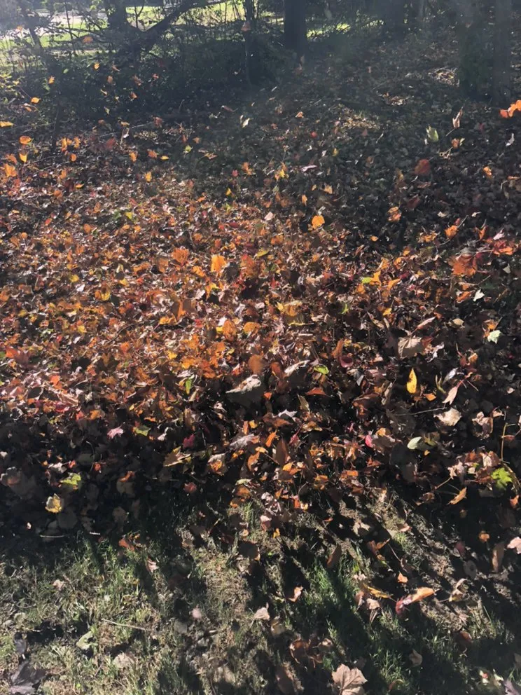 Top-rated outdoor landscaping for beautiful yards across Geneva, OH - R-A&J Landscaping