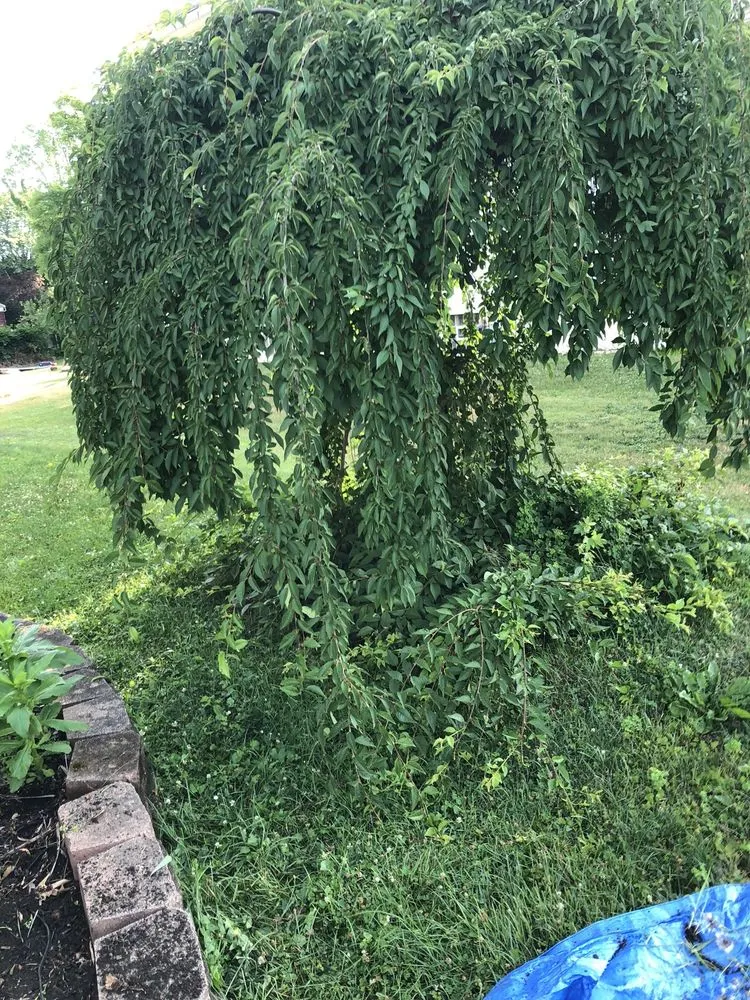 Local garden landscaping experts serving Geneva, OH - R-A&J Landscaping