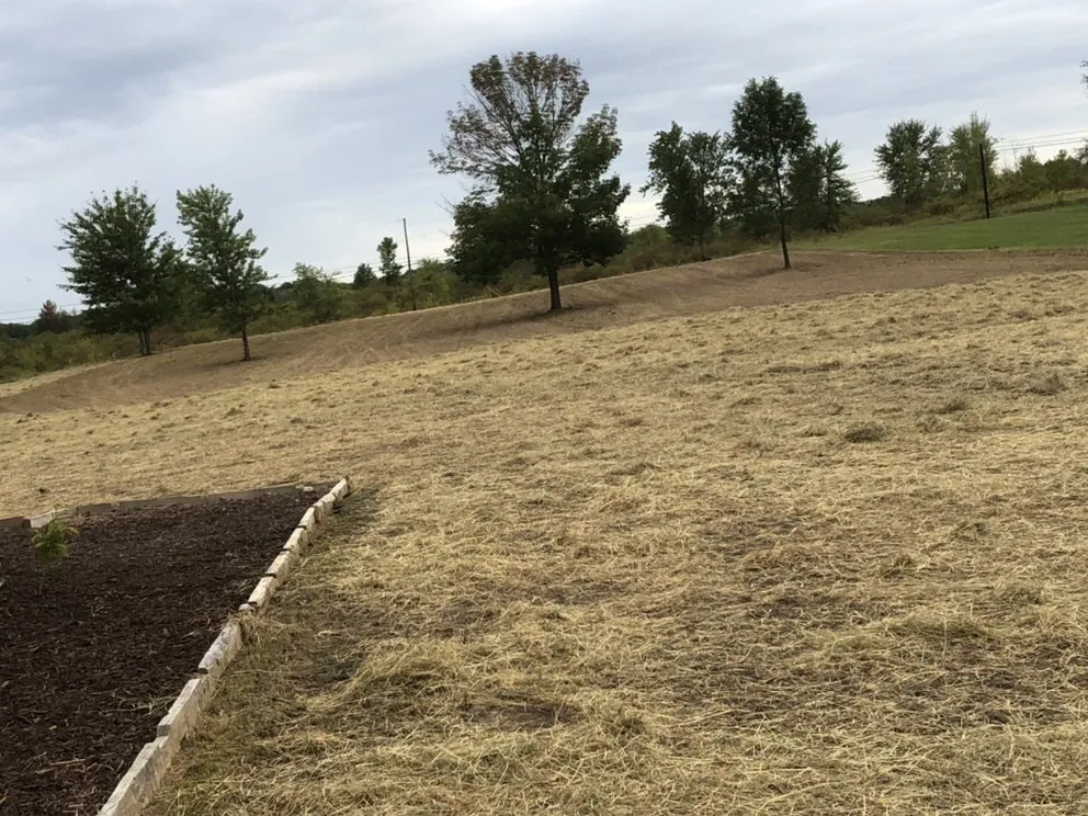 Professional residential landscaping experts serving Geneva, OH - R-A&J Landscaping