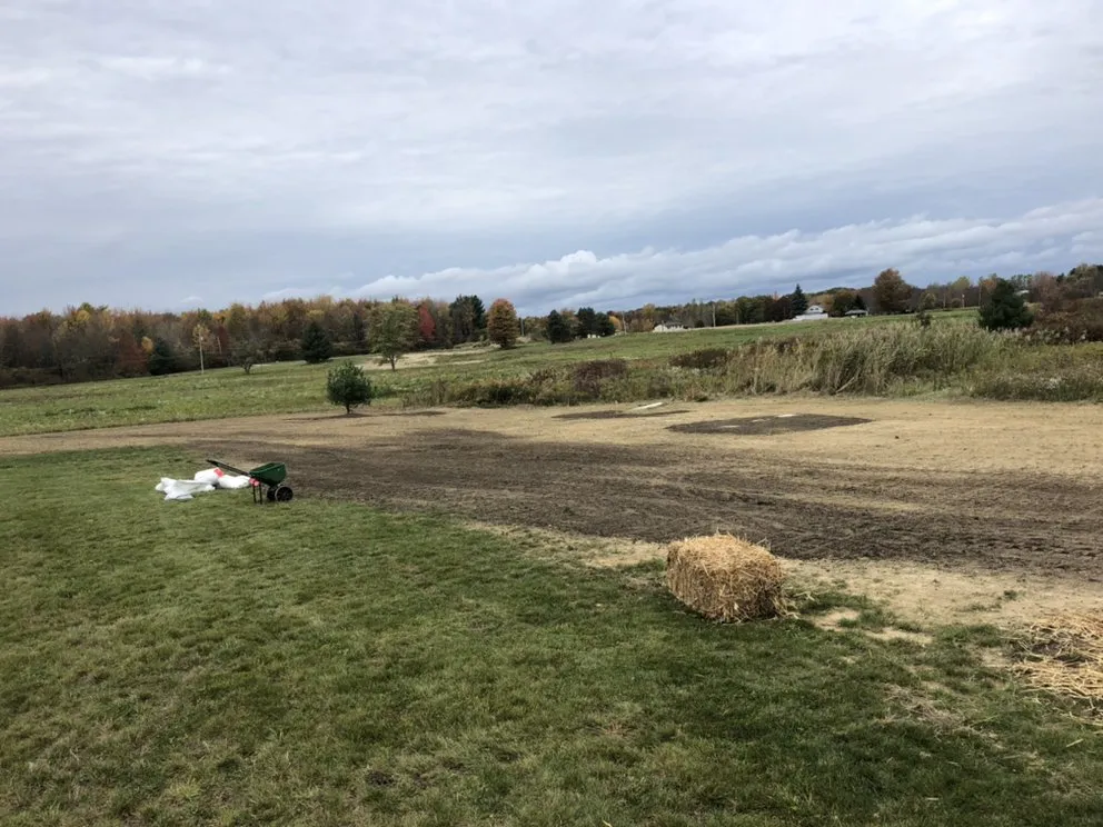 Trusted lawn care service for outdoor upgrades in Geneva, OH by R-A&J Landscaping