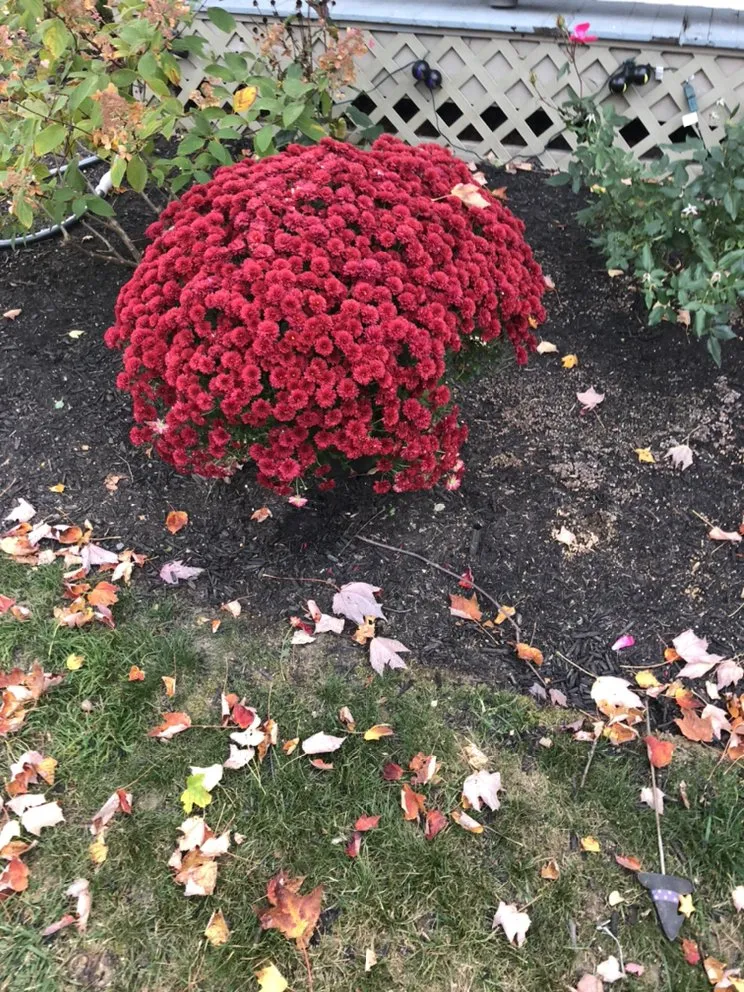 Reliable outdoor landscaping experts serving Geneva, OH - R-A&J Landscaping