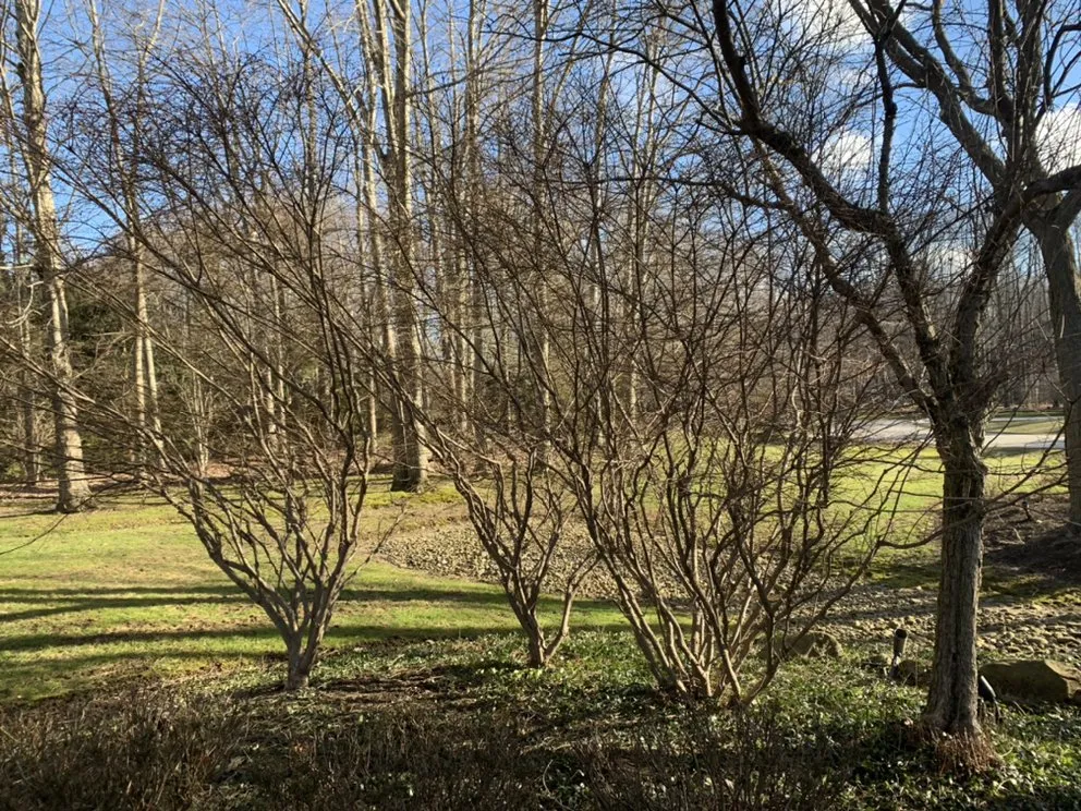 Affordable outdoor landscaping experts serving Geneva, OH - R-A&J Landscaping