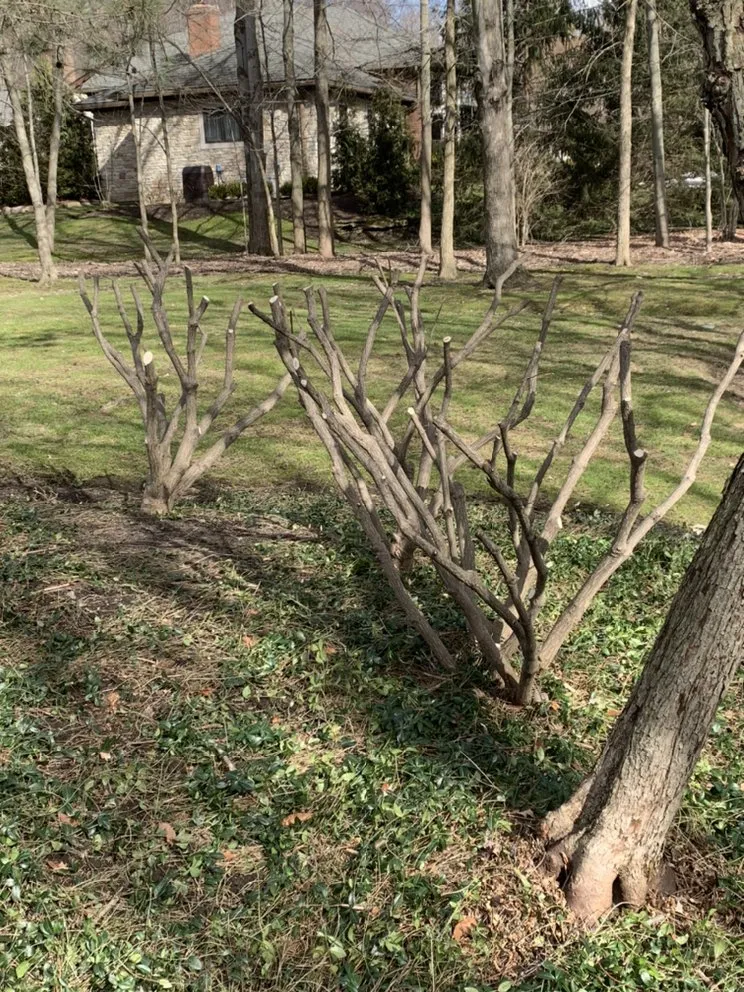 Local residential landscaping in Geneva, OH by R-A&J Landscaping