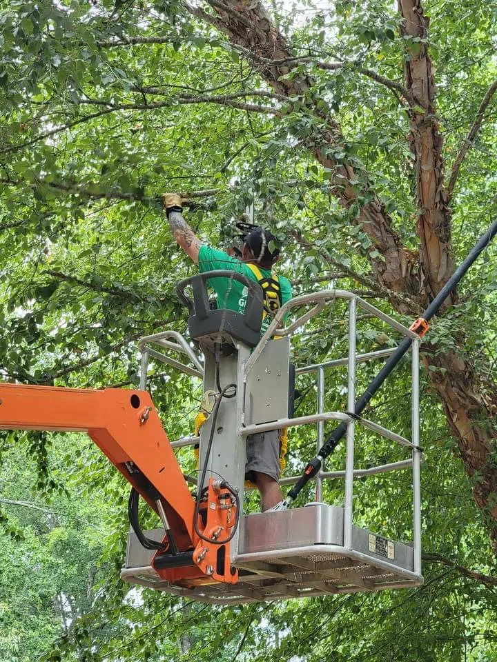 Top-rated residential landscaping for residential properties in Anderson, SC by R And A Tree Service