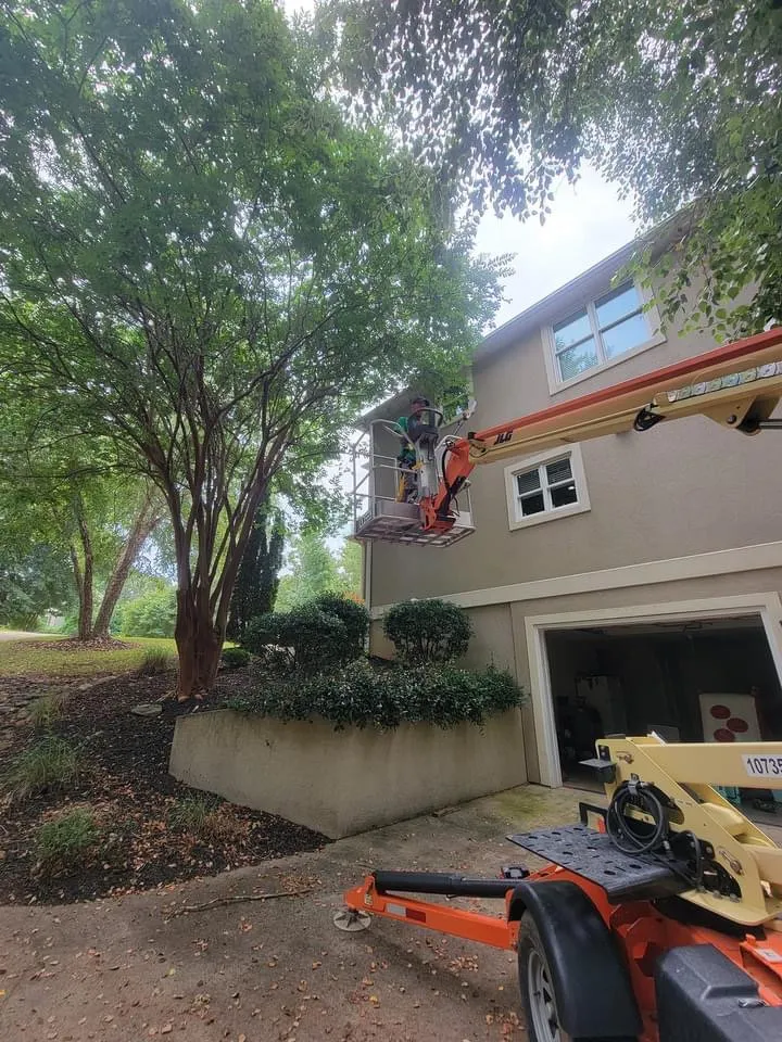 Expert yard cleanup service in Anderson, SC by R And A Tree Service