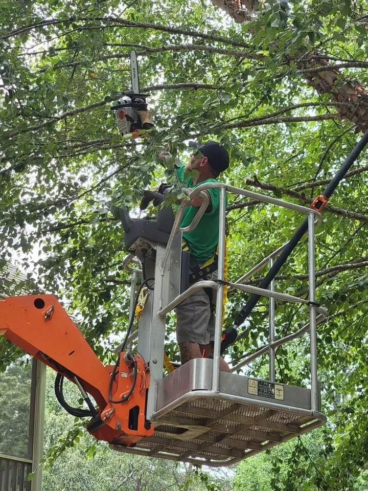 Affordable outdoor landscaping in Anderson, SC - R And A Tree Service