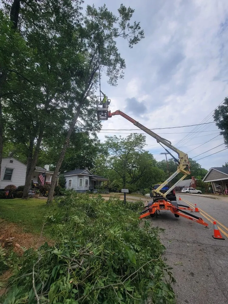Trusted landscaping services for homes across Anderson, SC - R And A Tree Service
