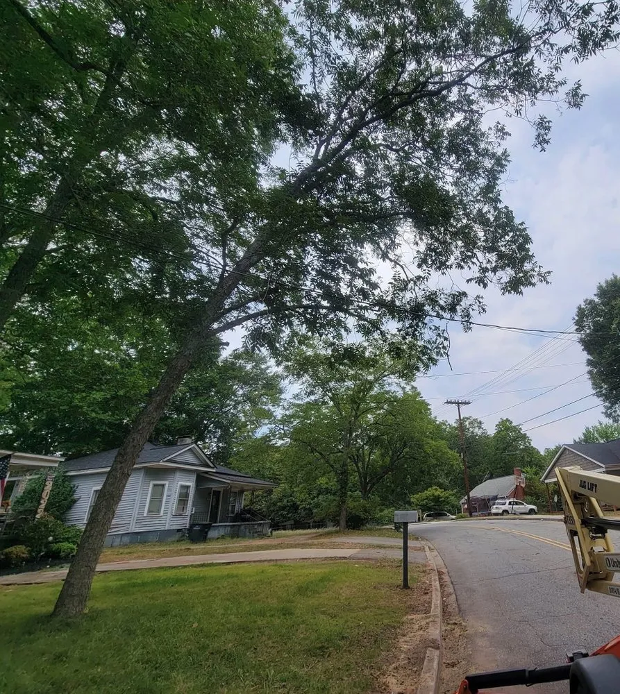 Trusted yard cleanup service near you across Anderson, SC - R And A Tree Service