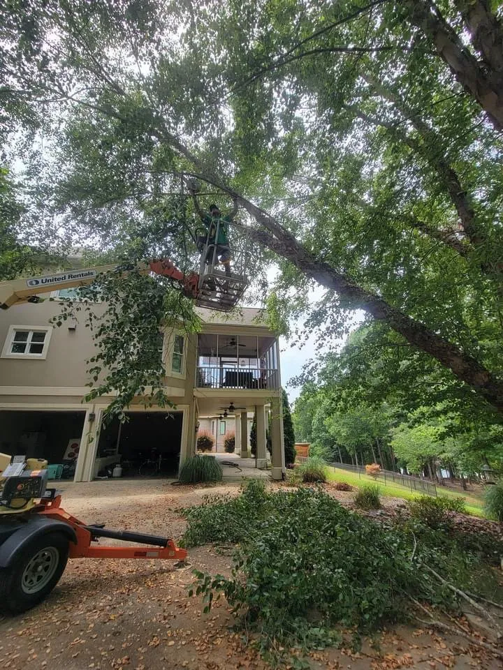 Expert lawn care service in Anderson, SC by R And A Tree Service