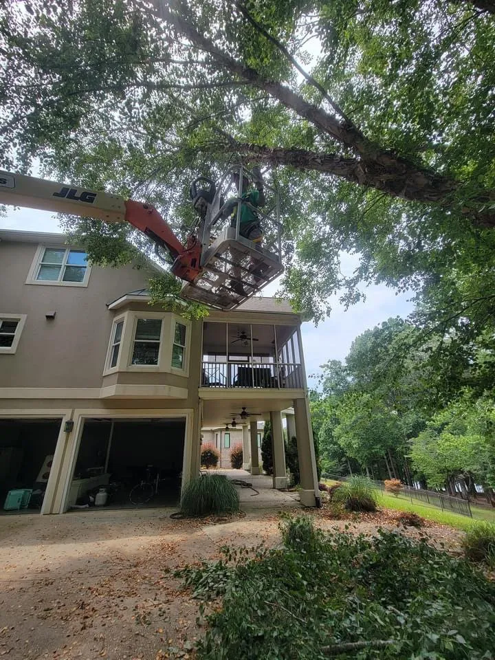 Trusted yard maintenance in Anderson, SC by R And A Tree Service