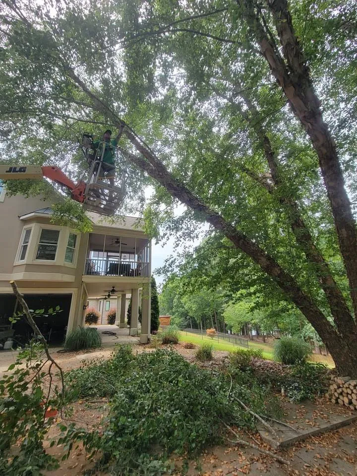 Top-rated landscaping services experts serving Anderson, SC - R And A Tree Service