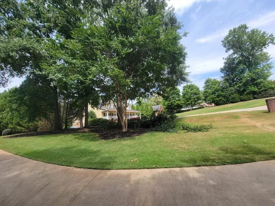 Reliable landscape design in Anderson, SC by R And A Tree Service