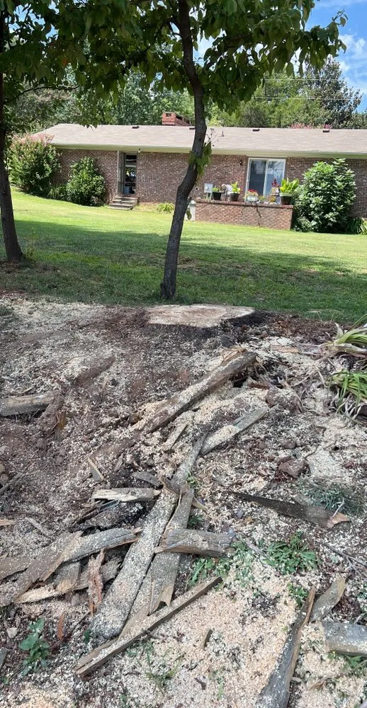 Top-rated landscape installation in Anderson, SC - R And A Tree Service