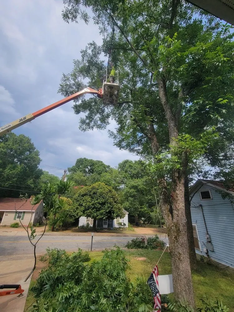 Top-rated yard cleanup service for residential properties across Anderson, SC - R And A Tree Service