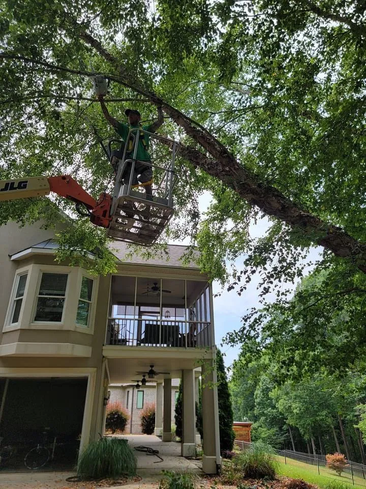 Local landscape design with custom design in Anderson, SC by R And A Tree Service