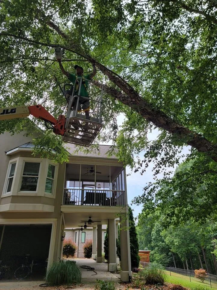 Top-rated garden landscaping in Anderson, SC by R And A Tree Service