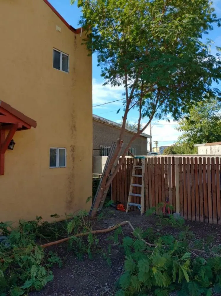 Top-rated landscape design for beautiful yards across Phoenix, AZ - R and C Landscaping & Clean Ups