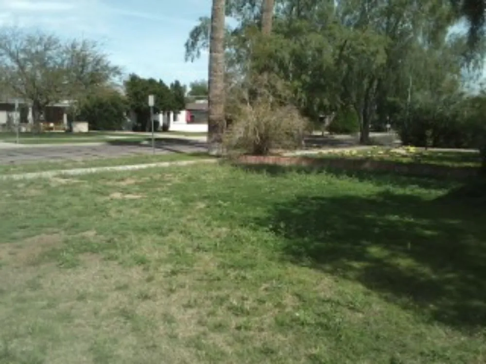 Reliable outdoor landscaping in Phoenix, AZ - R and C Landscaping & Clean Ups