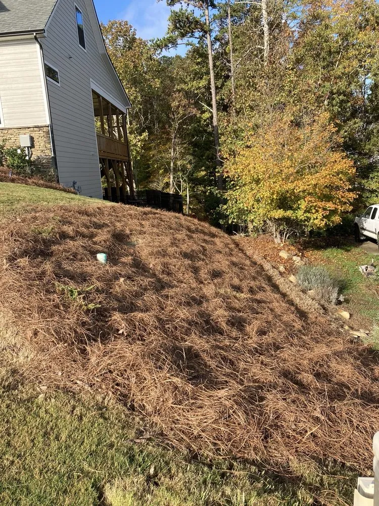 Professional yard maintenance for year-round maintenance in Rock Hill, SC by R And C Lawn Care