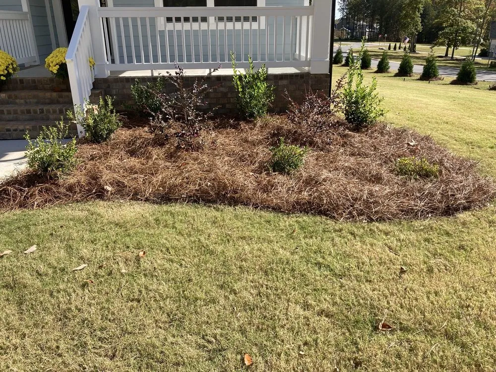 Custom yard cleanup service for homes in Rock Hill, SC by R And C Lawn Care