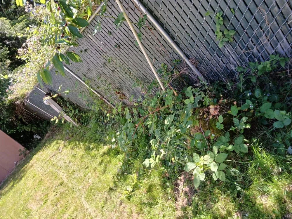 Expert landscape installation in Montesano, WA by R And H Landscaping