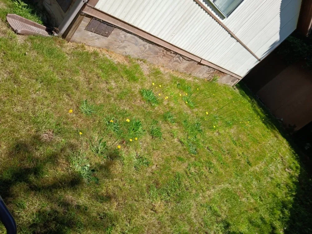 Custom landscape design for outdoor upgrades across Montesano, WA - R And H Landscaping