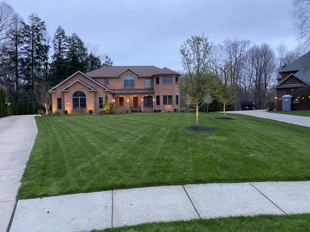 Top-rated yard cleanup service in Erie, PA by R and J Handyman