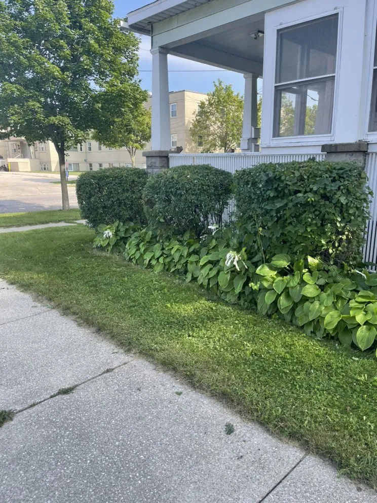 Professional outdoor landscaping near you in Auburn, MI by R and J Lawn Care