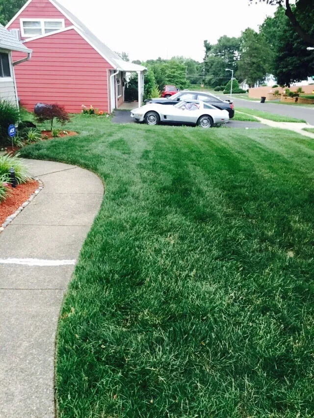 Local residential landscaping experts serving Levittown, PA - R and J Property Maintenance