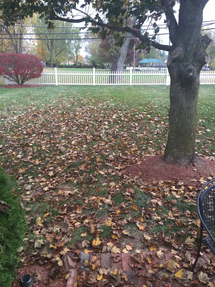 Top-rated outdoor landscaping experts serving Levittown, PA - R and J Property Maintenance