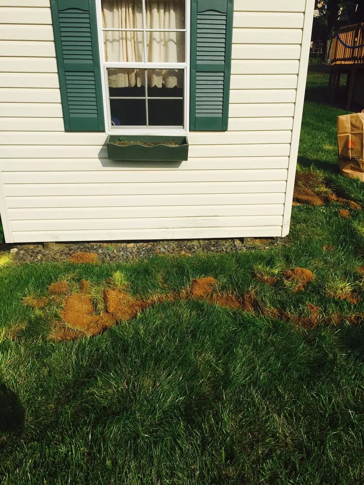 Top-rated residential landscaping in Levittown, PA by R and J Property Maintenance