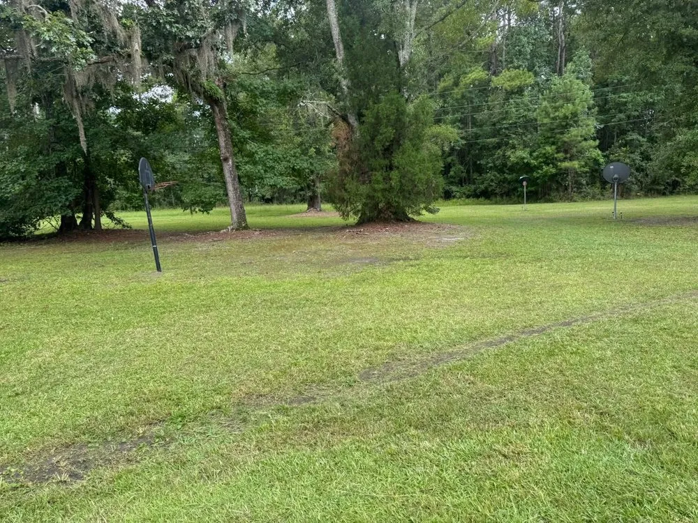 Top-rated landscaping services in Hollywood, SC - R and J Property Services