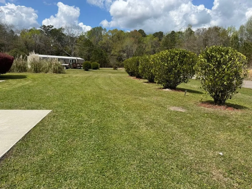 Local yard maintenance in Hollywood, SC - R and J Property Services