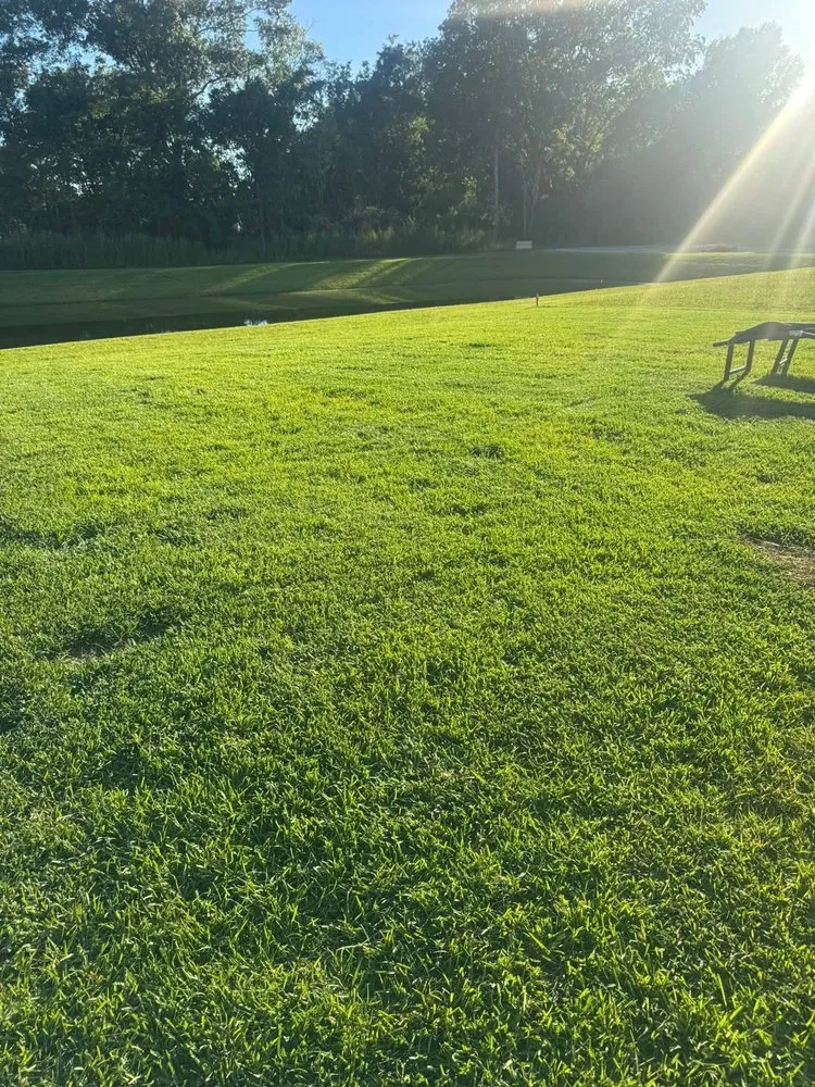 Affordable landscape installation for homes across Hollywood, SC - R and J Property Services