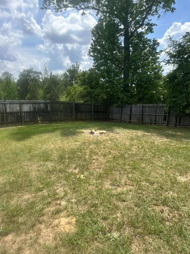 Top-rated garden landscaping for residential properties in Warner Robins, GA by R and K outdoor services